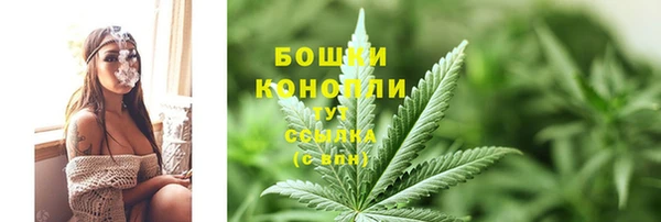 ALPHA PVP Каменка