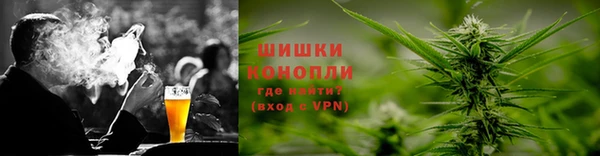 кокс Касимов