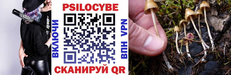 Псилоцибиновые грибы мицелий Ильский