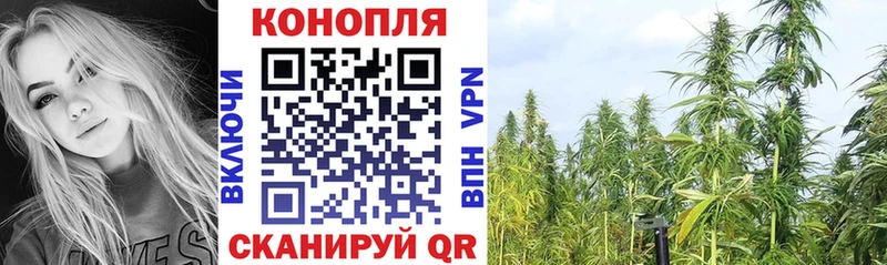 Купить закладки  Ильский  Шишки марихуана Ganja 